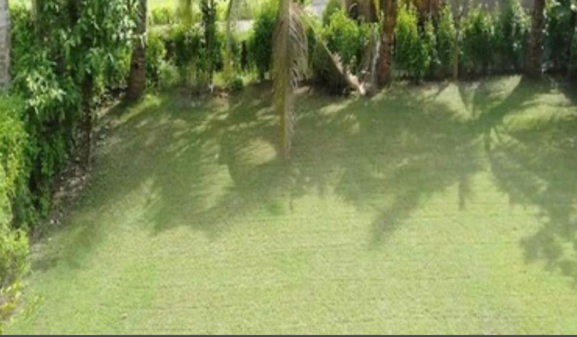 Vedic Village Villa *